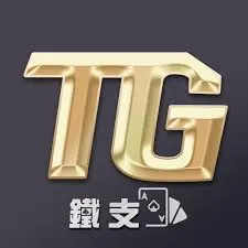 TG鐵支娛樂城是否真的安全？玩家資金能否得到保障？